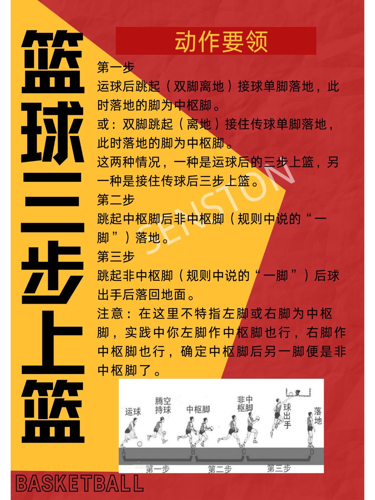 篮球训练基本动作图片视频讲解